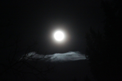Nočni pohod na Ptujsko Goro, ob polni luni, 5.3.2015