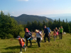 wp_20160924_028