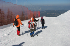 Peca 2012