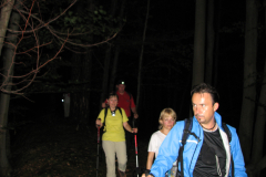 Polne lune 2010