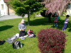 wp_20160521_006
