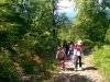 wp_20160521_057